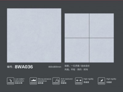 8WA036