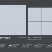 8WA036