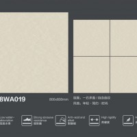 8WA019