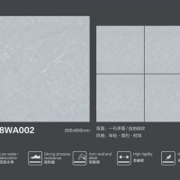 8WA002